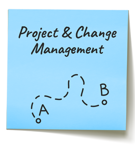 Project and organizational change consulting focus area